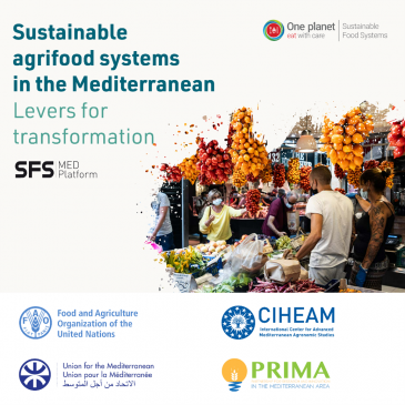 The digital journey in Mediterranean agrifood systems continues